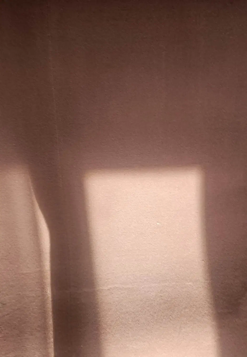 موکت|موکت|فولادشهر, C7|دیوار