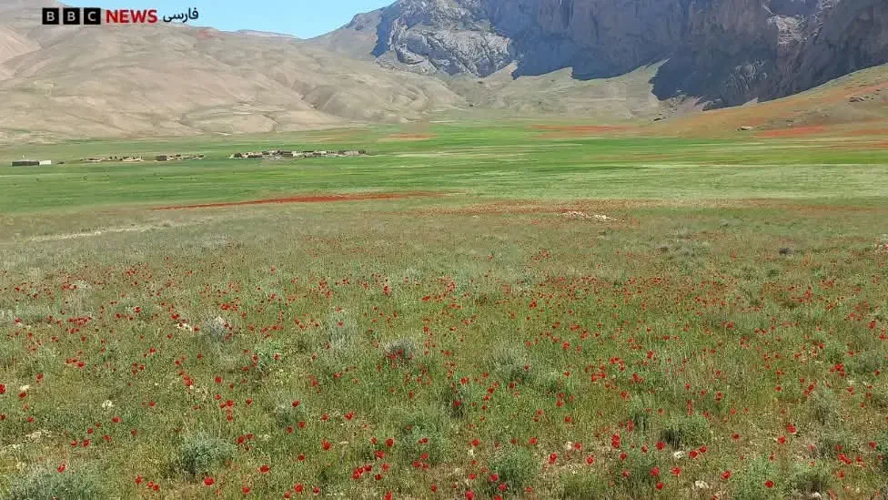 سلام دنبال خونه هستیم خانواده ۲نفرهستیم|اجارهٔ خانه و ویلا|قنوات, |دیوار