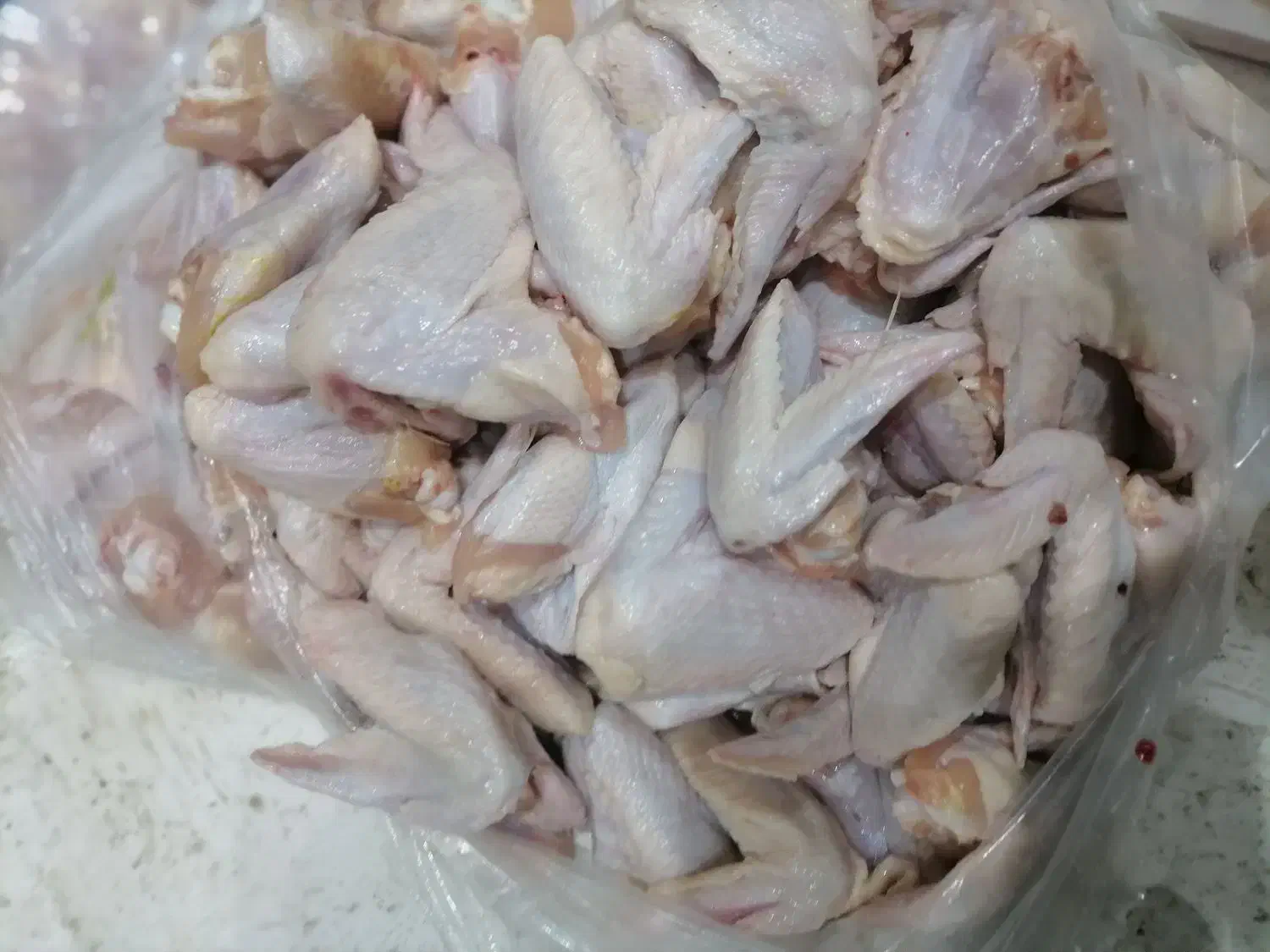 کتف بال تازشمال قیمت عمده ۱۵۷|خوردنی و آشامیدنی|قم, شهرک فاطمیه|دیوار