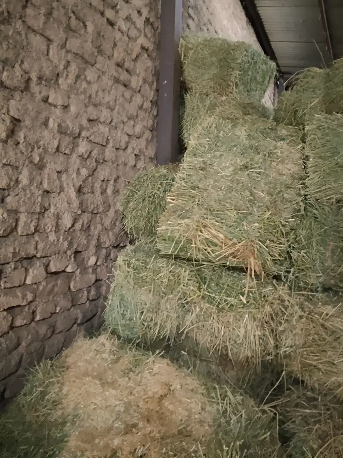 فروش یونجه|خدمات باغبانی و درختکاری|فیروزآباد (لرستان), |دیوار