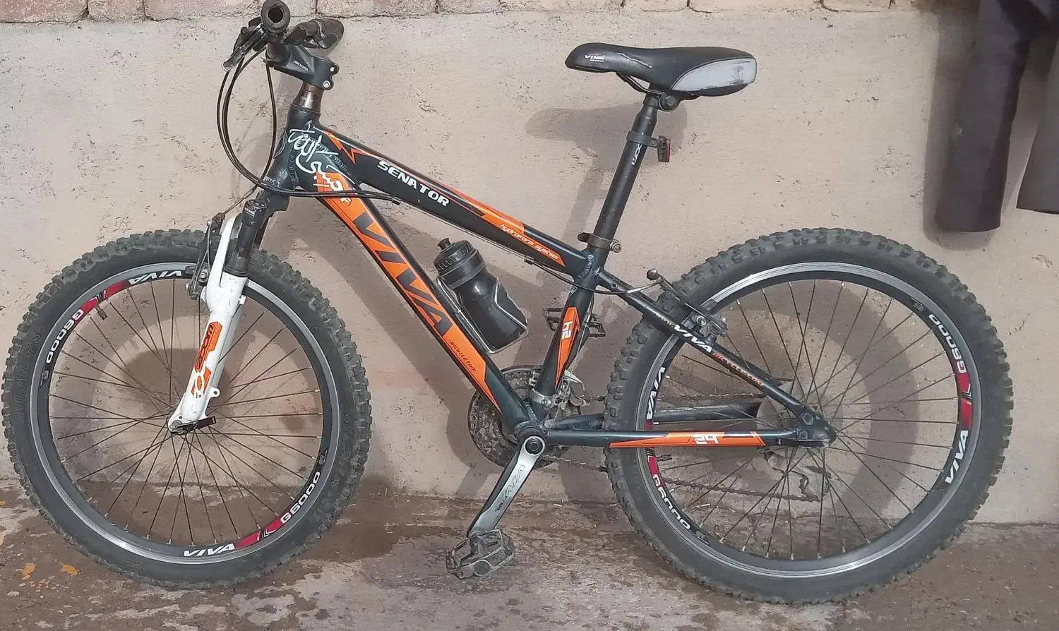 دوچرخه ویوا|دوچرخه، اسکیت، اسکوتر|بناب, |دیوار