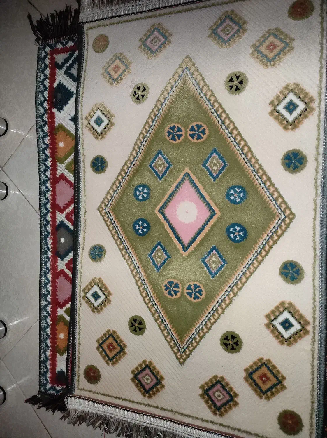 پادری های رنگی رنگی ریشه دار|پادری|پاکدشت, پاکدشت (مامازند)|دیوار