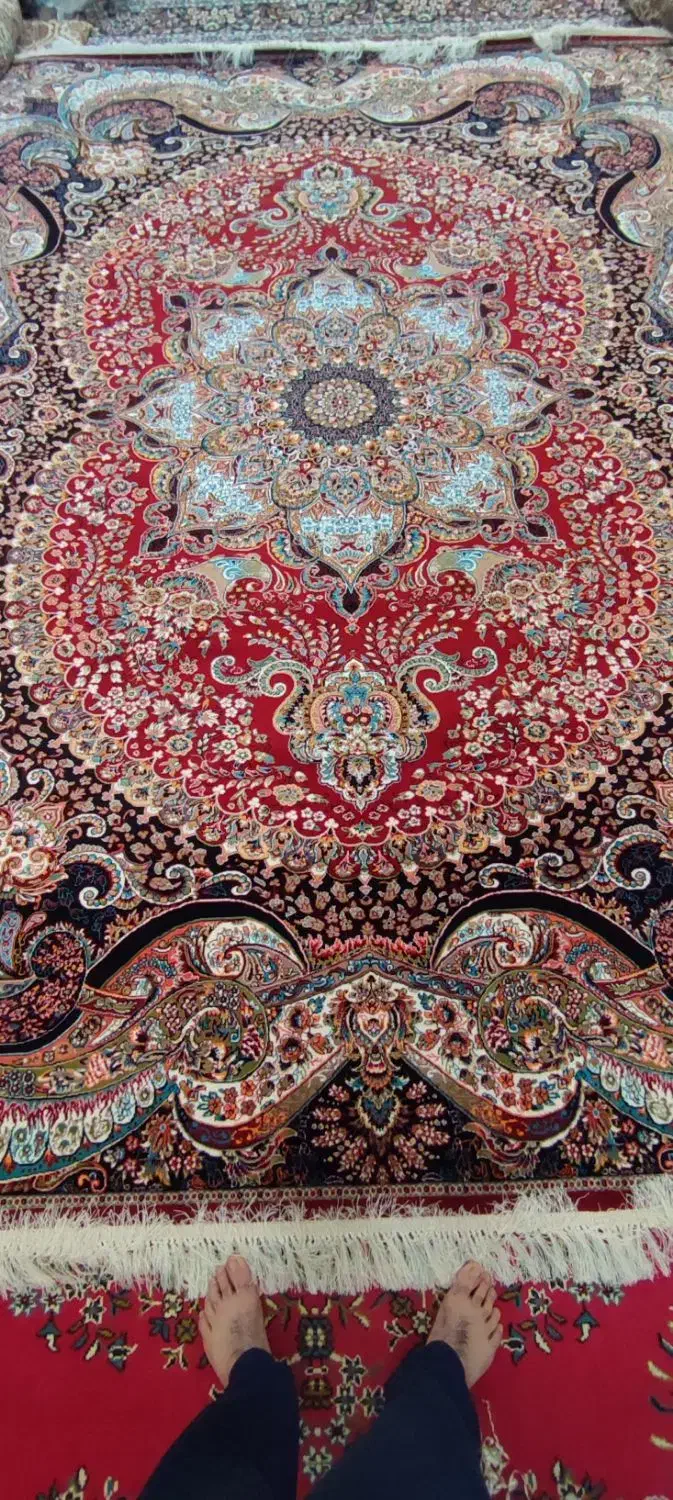 فرش ۱۲ متری ۷۰۰ شانه چیچک روناسی|فرش|زاهدان, |دیوار
