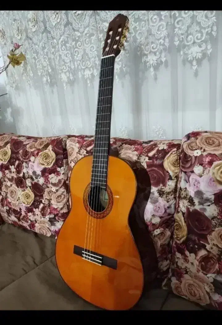 گیتار مدل یاماهاC70 حرفه ای YAMAHA|گیتار، بیس، امپلیفایر|بجنورد, |دیوار