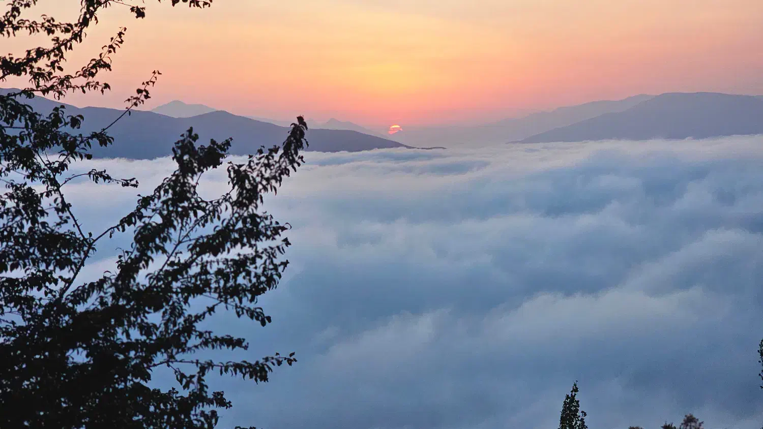 فروش واحد شهرک ایثار۳خوابه|فروش آپارتمان|بندر کنگان, |دیوار