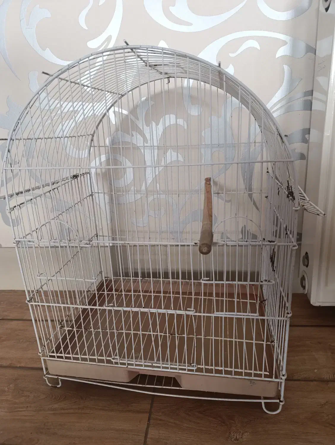 قفس|لوازم جانبی حیوانات|بیرجند, |دیوار