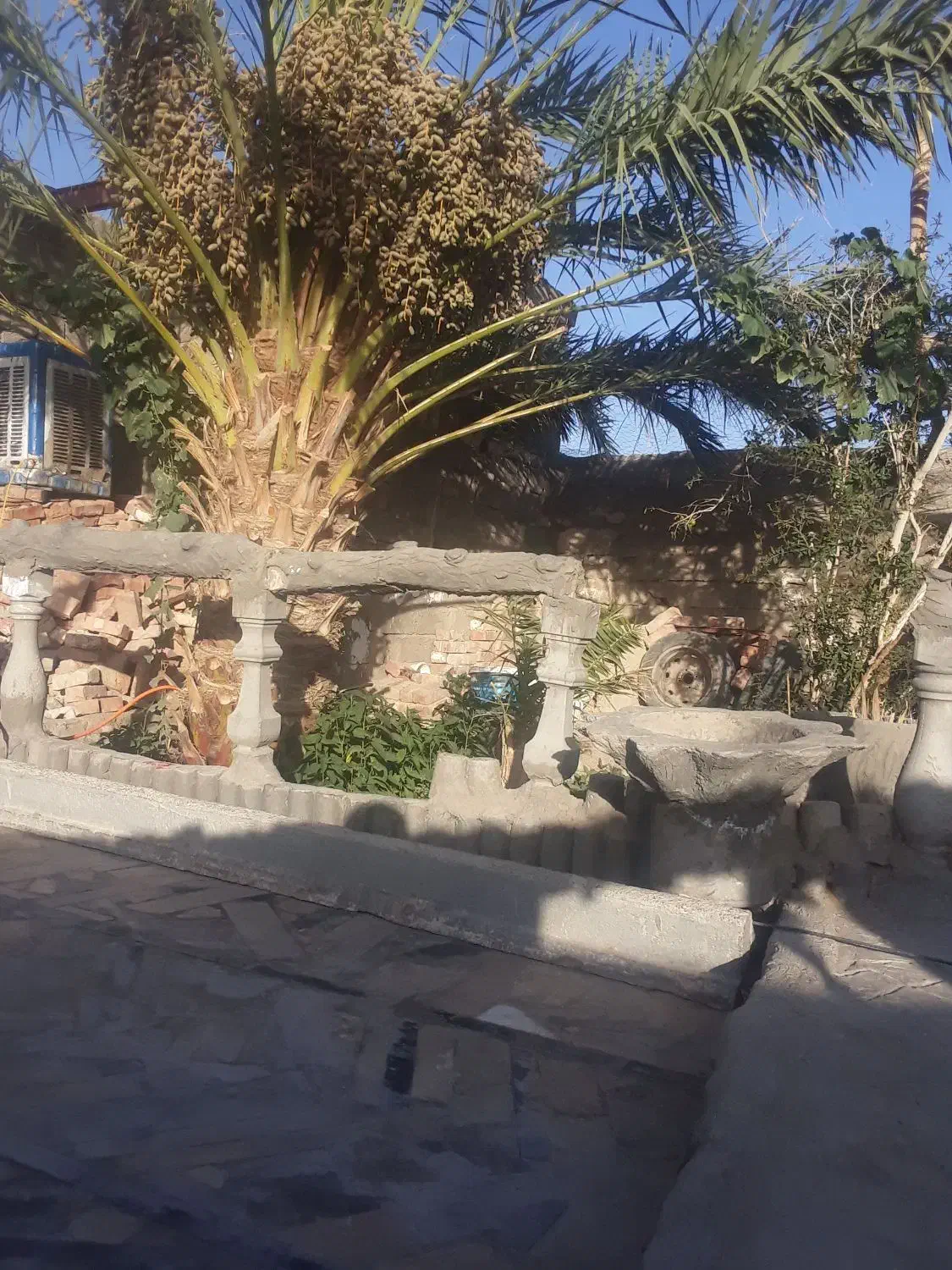 زمین فروشی واقع در پشت خط 300متر|فروش خانه و ویلا|میرجاوه, |دیوار