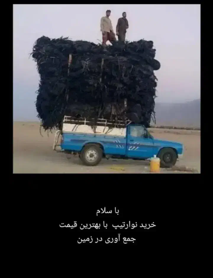 ضایعات نوار قطره تیپ کشاورزی|خدمات باغبانی و درختکاری|مرودشت, رامجرد یک|دیوار