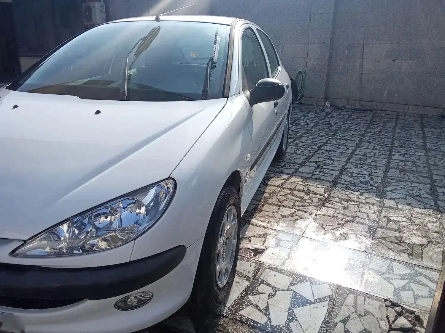 ۲۰۶ مدل ۱۳۹۵بی رنگ|خودرو سواری و وانت|رشت, کاکتوس|دیوار