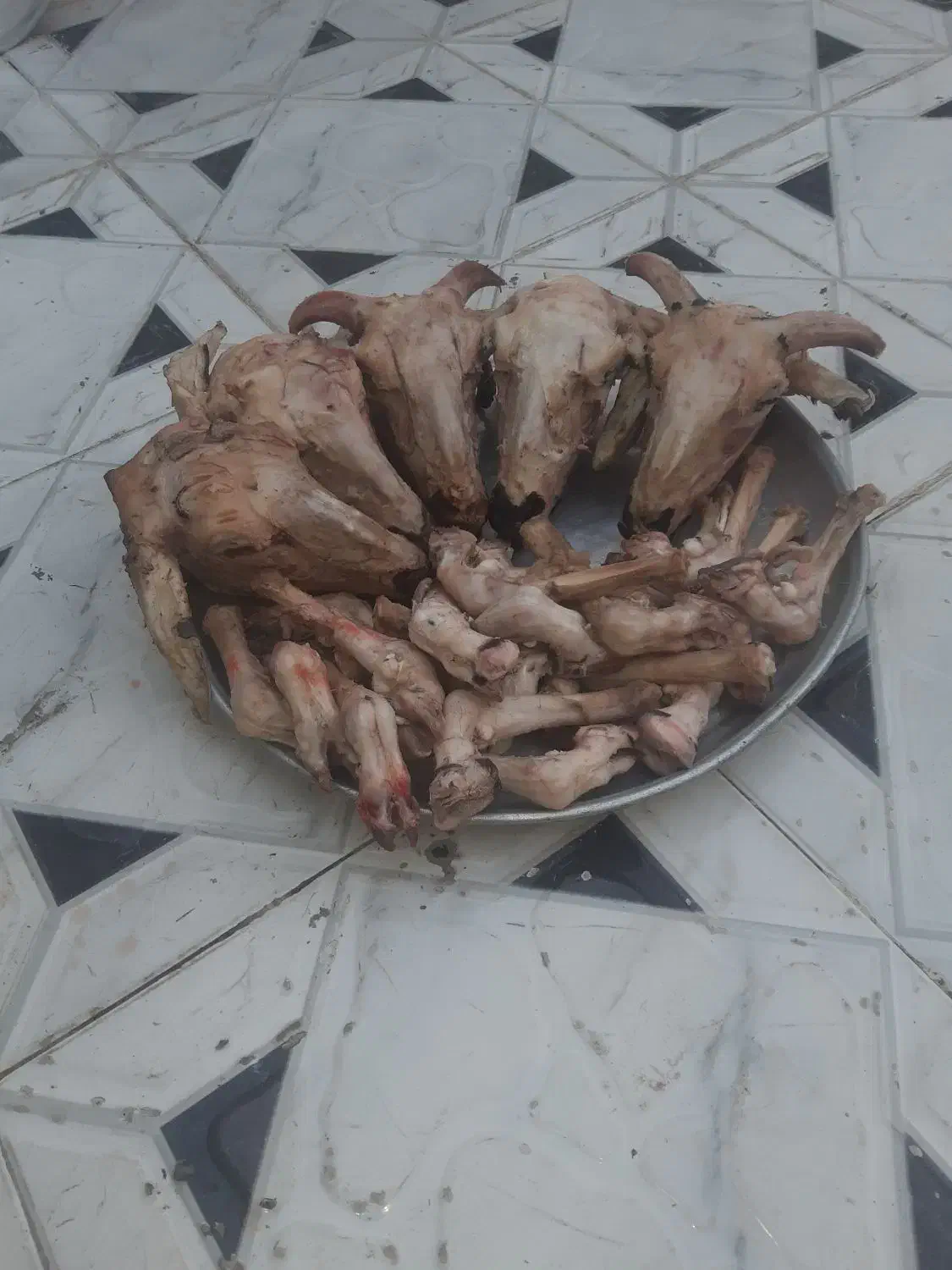 کله پاچه بره ۵۰۰ هزار تومان|خوردنی و آشامیدنی|خرمشهر, |دیوار