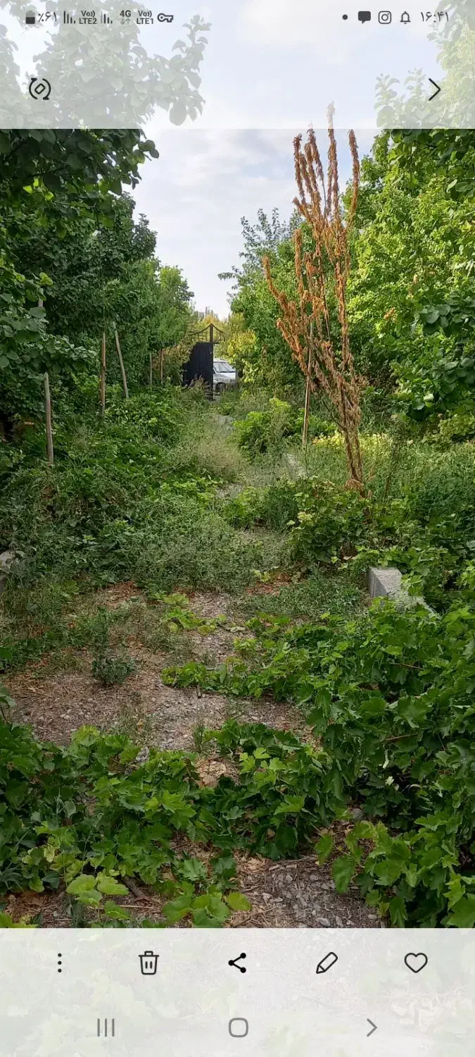 فروش باغ تهاتر با واحد و خودرو|فروش زمین و ملک کلنگی|رباطکریم, منجیل آباد|دیوار