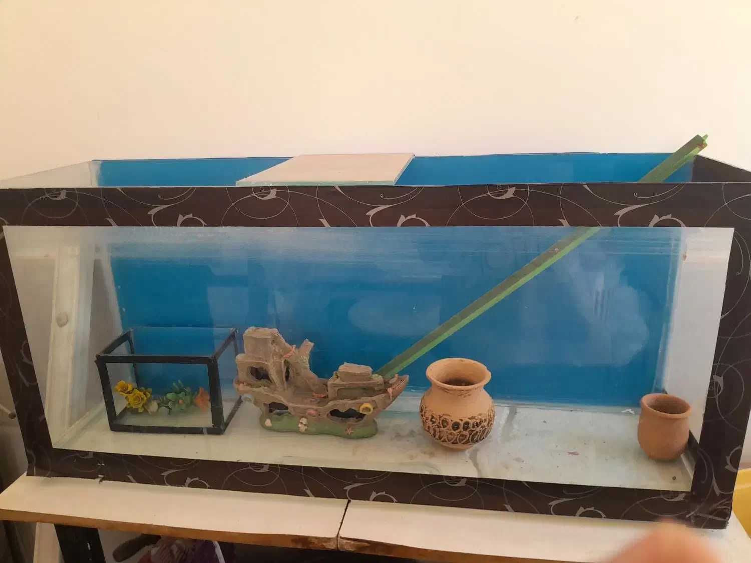 اکواریم وسایل|ماهی|قنوات, |دیوار