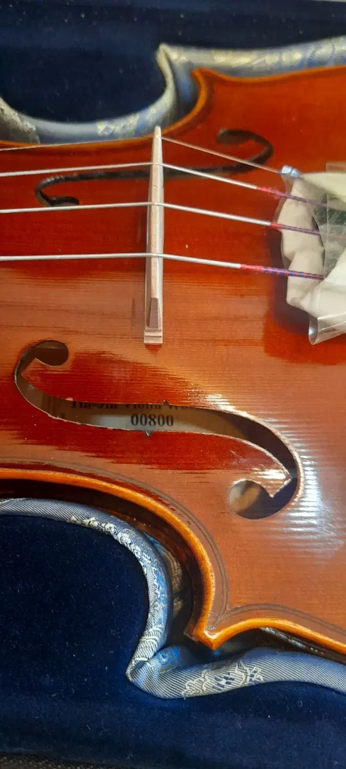 ویلن TF  مدل 800|ویولن|قزوین, |دیوار