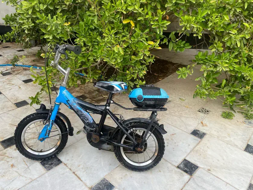 دوچرخه 12|دوچرخه، اسکیت، اسکوتر|بستک, |دیوار