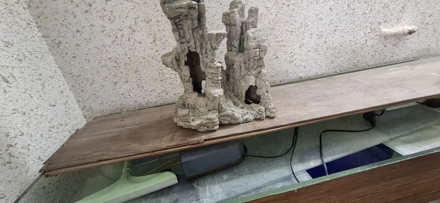 آکواریوم ابعاد ۱۳۵×۷۵×۴۰|ماهی|سمنان, |دیوار