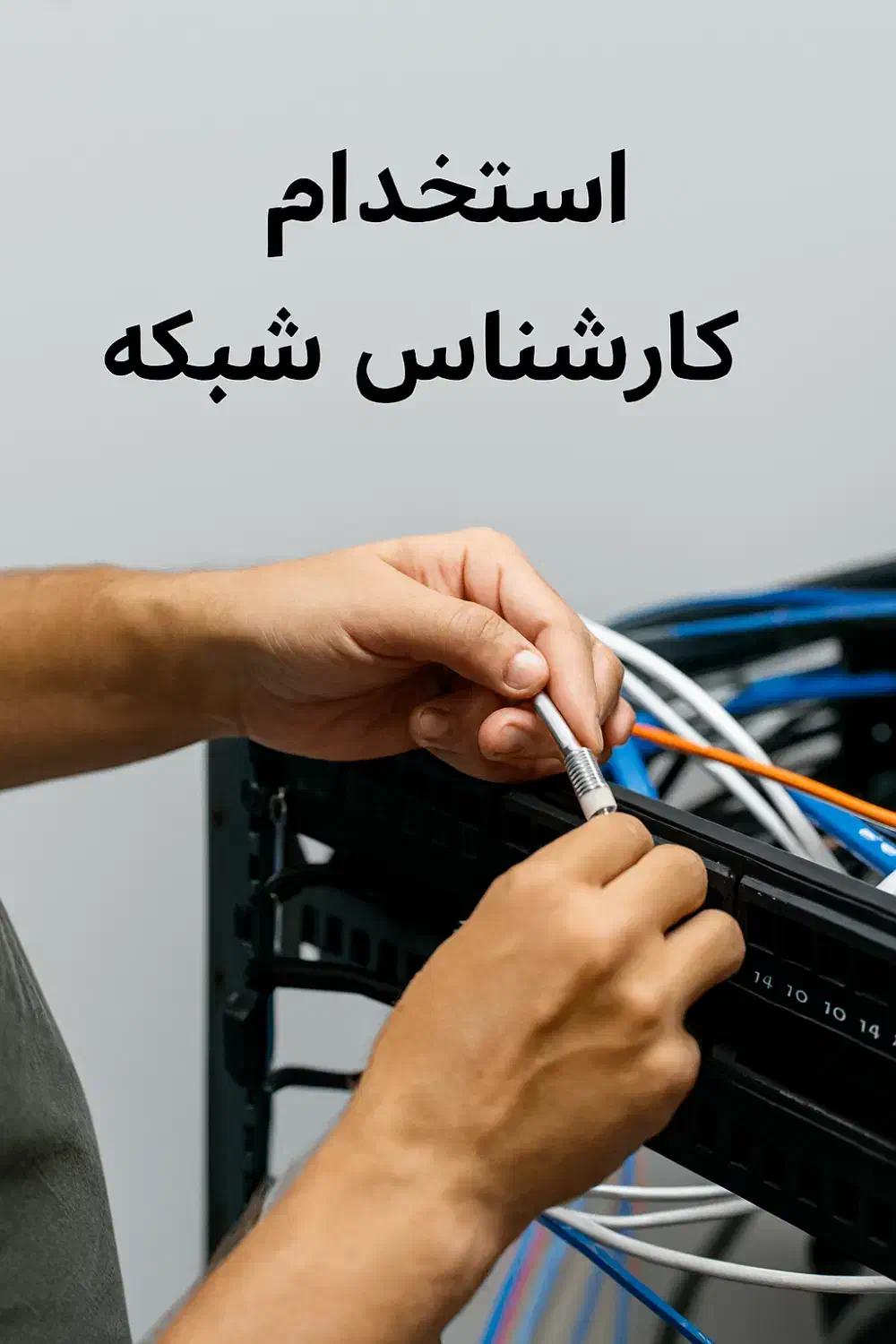 پشتیبان شبکه پسیو و اکتیو|استخدام رایانه و فناوری اطلاعات|مشهد, شهید بهشتی|دیوار