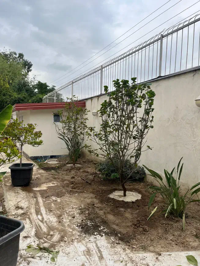 خدمات فضای سبز و باغبانی|خدمات باغبانی و درختکاری|ساری, |دیوار