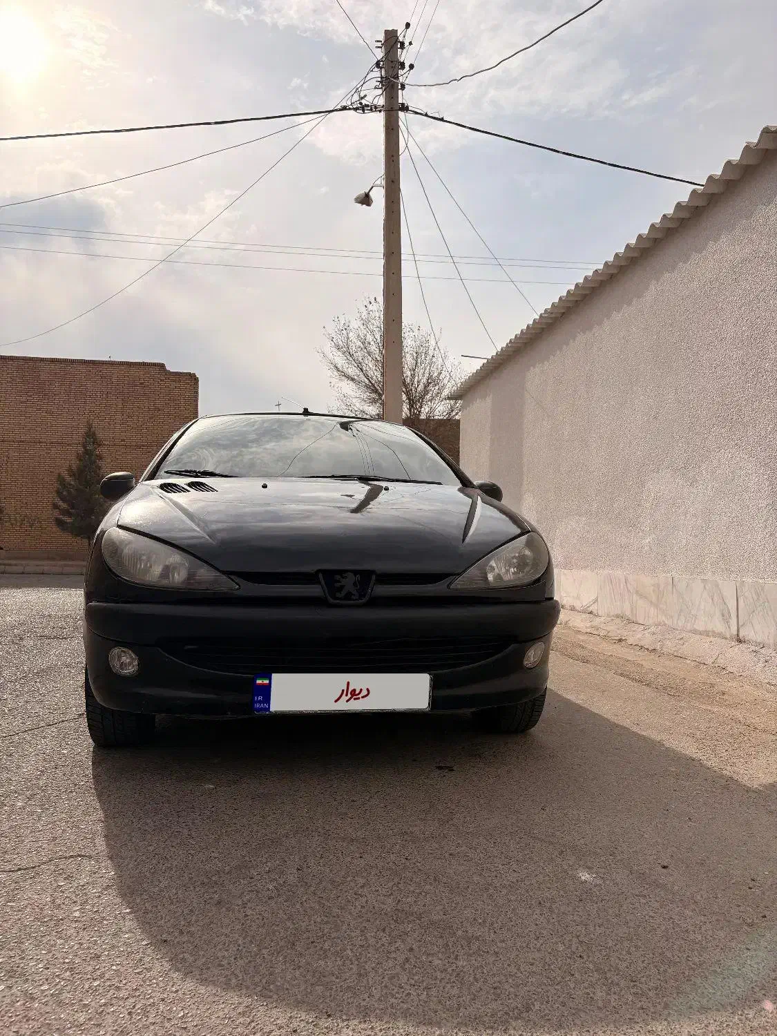 206 مدل ۸۱|خودرو سواری و وانت|رفسنجان, |دیوار