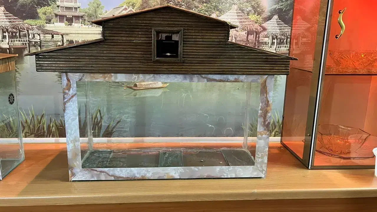 یک آکواریوم  مناسب و زیبا|ماهی|فلاورجان, |دیوار