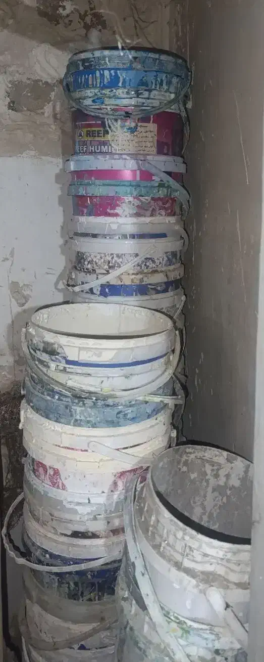 سطل رنگ 30عدد|ظروف نگهدارنده، پلاستیکی، یکبارمصرف|تربتحیدریه, ده پائین|دیوار