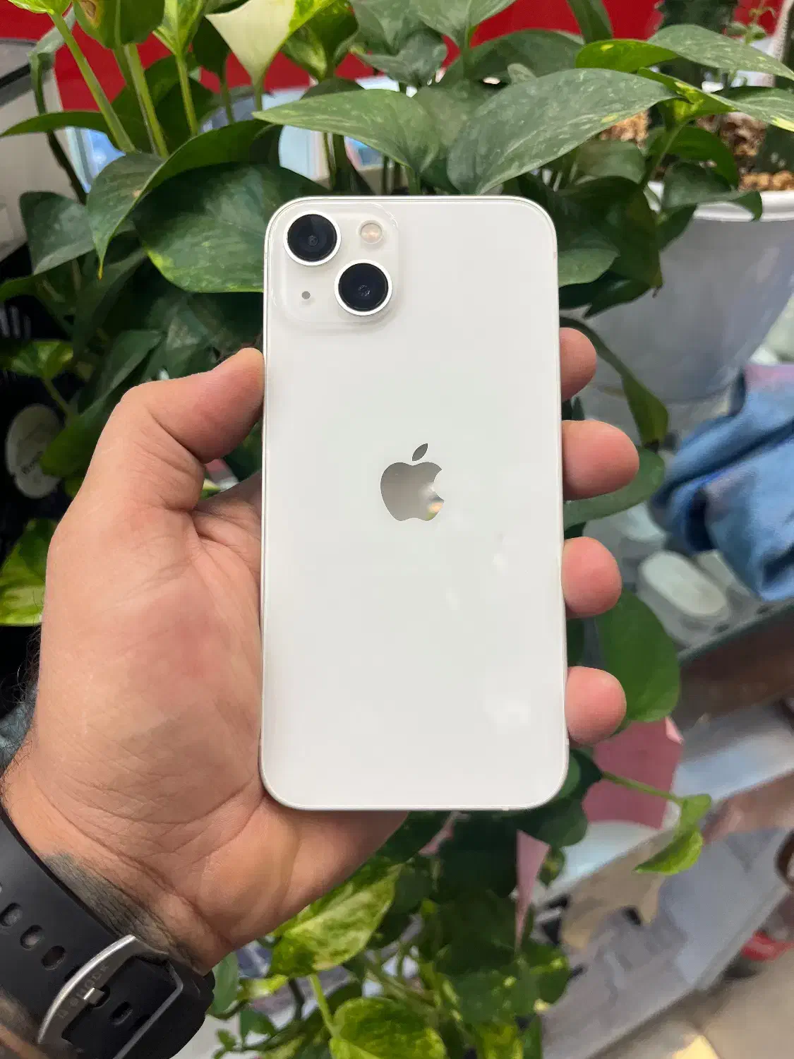 Iphone 13 cha|موبایل|شیراز, زند|دیوار