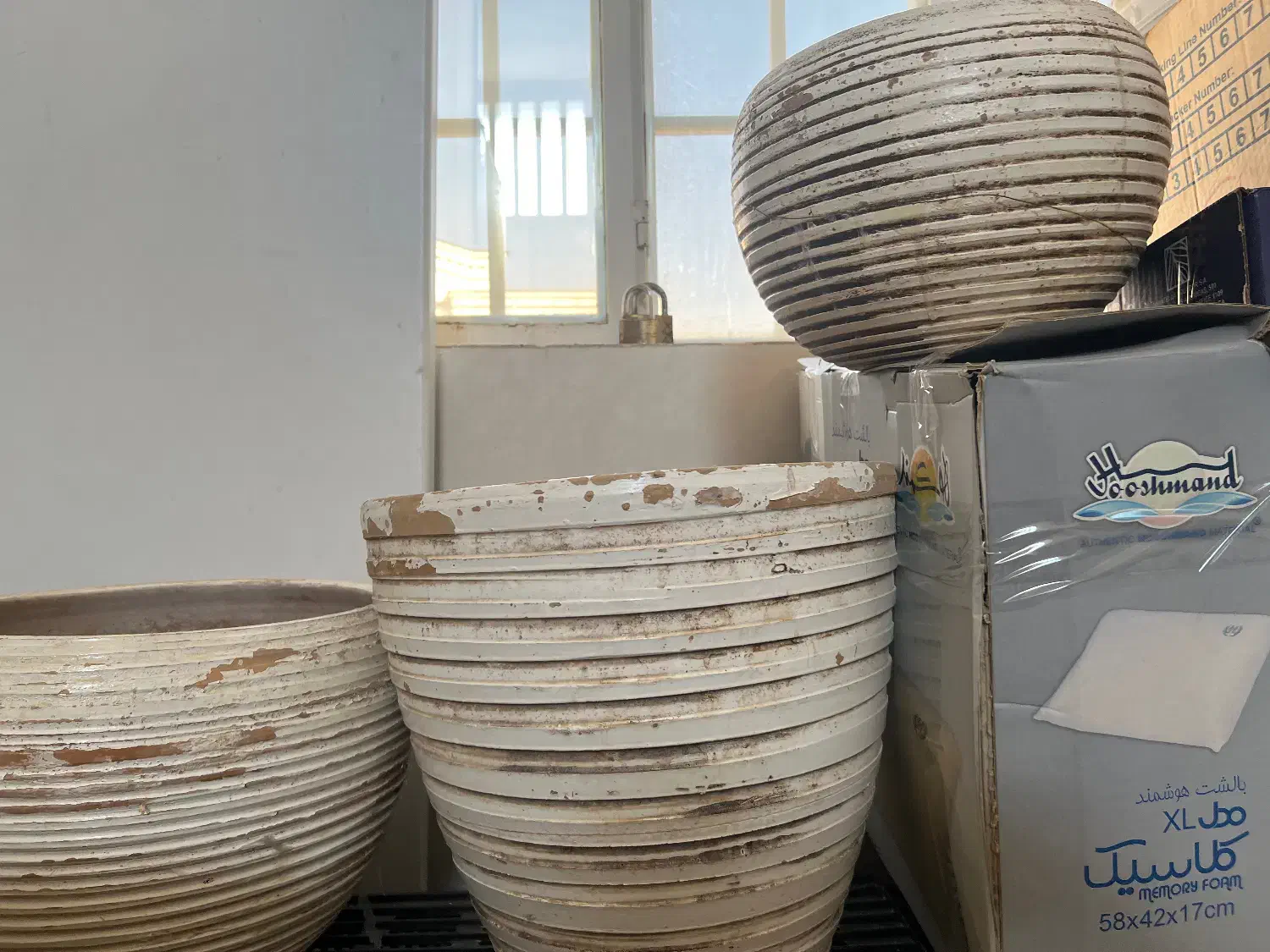 گلدان.|گل و گیاه طبیعی|شیراز, فرهنگ شهر|دیوار