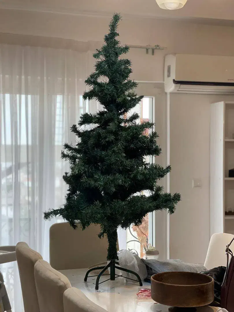 درخت کریسمس|کلکسیون و سرگرمی|چالوس, |دیوار