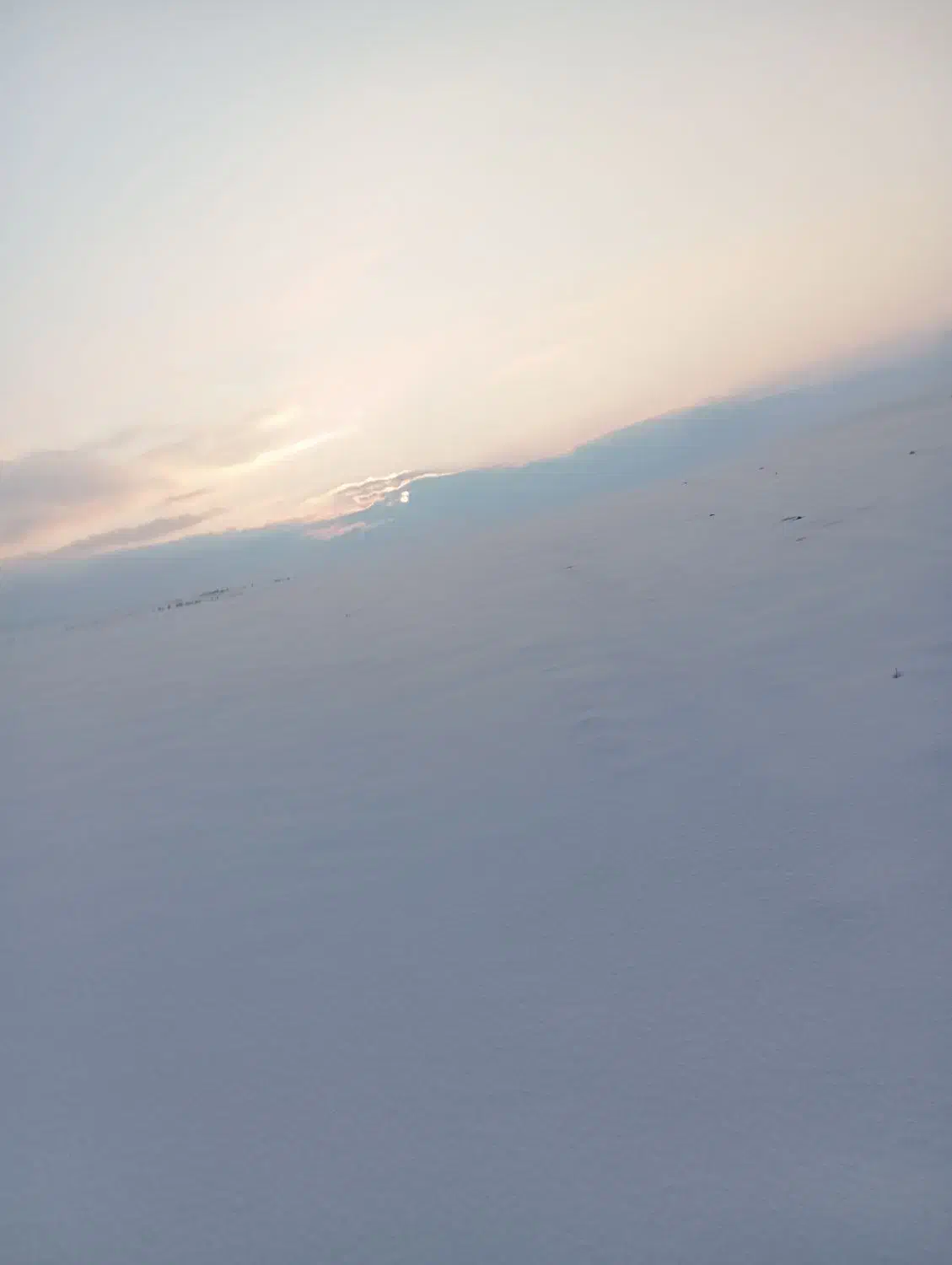 پیدا شده|اشیا|سقز, |دیوار