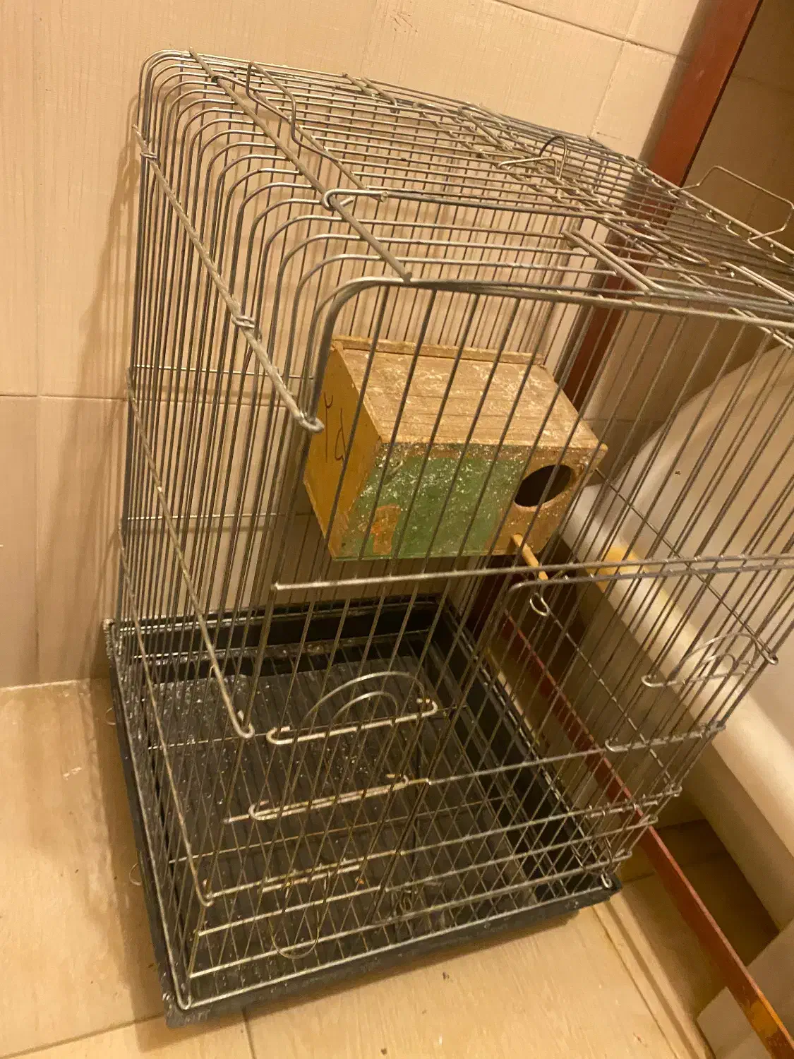 فروش قفس کاسکویی|لوازم جانبی حیوانات|سقز, |دیوار