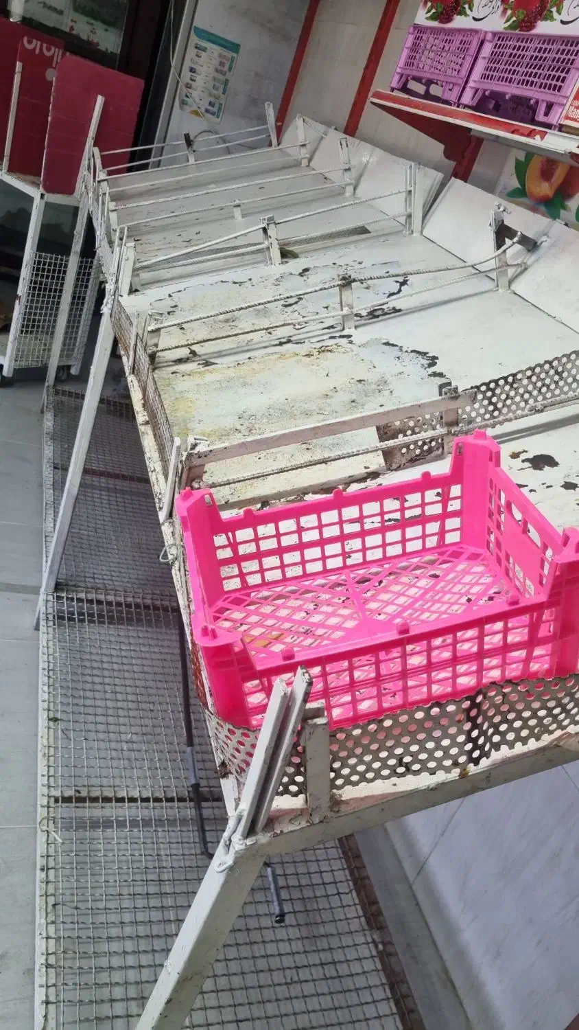 دکور میوه فروشی|فروشگاه و مغازه|شیراز, گویم|دیوار