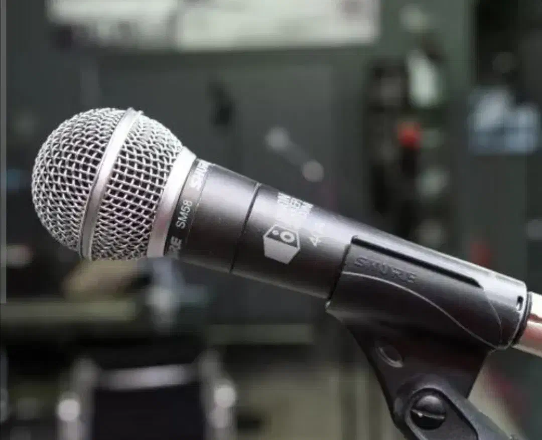 خواننده مجالس|خدمات پذیرایی، مراسم|سبزوار, ولیعصر (نجار آباد)|دیوار