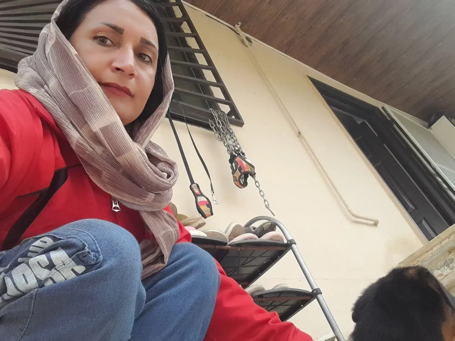 تربیت وپانسیون سگ درگیلان توسط مربی خانم|خدمات پیشه و مهارت|رشت, منظریه|دیوار