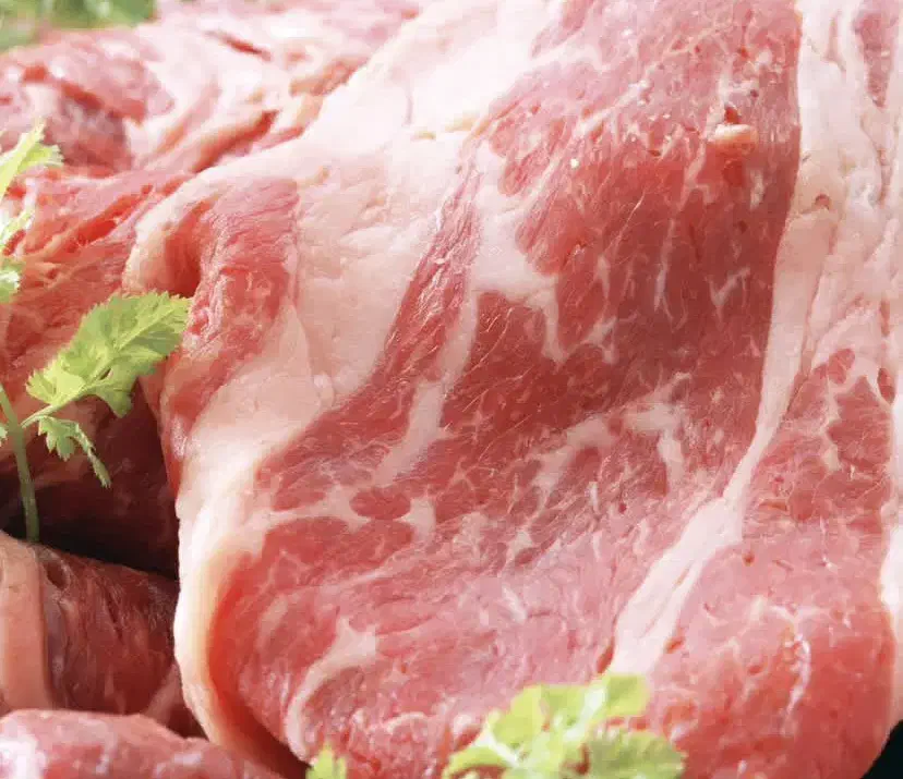 گوشت شتر|خوردنی و آشامیدنی|بم, |دیوار