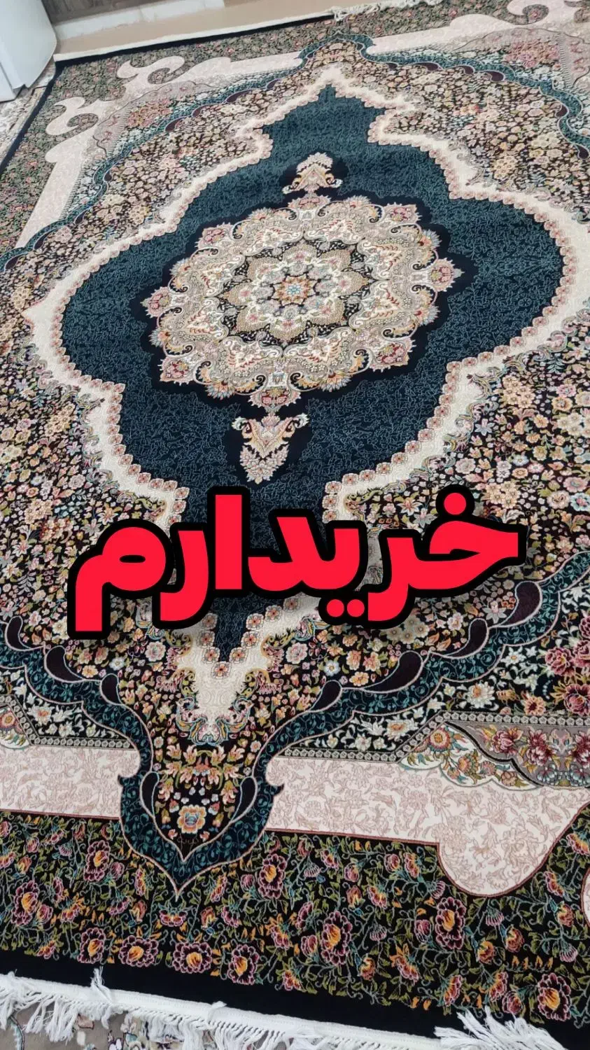 فرش ۱۲متری|فرش|زنجان, |دیوار