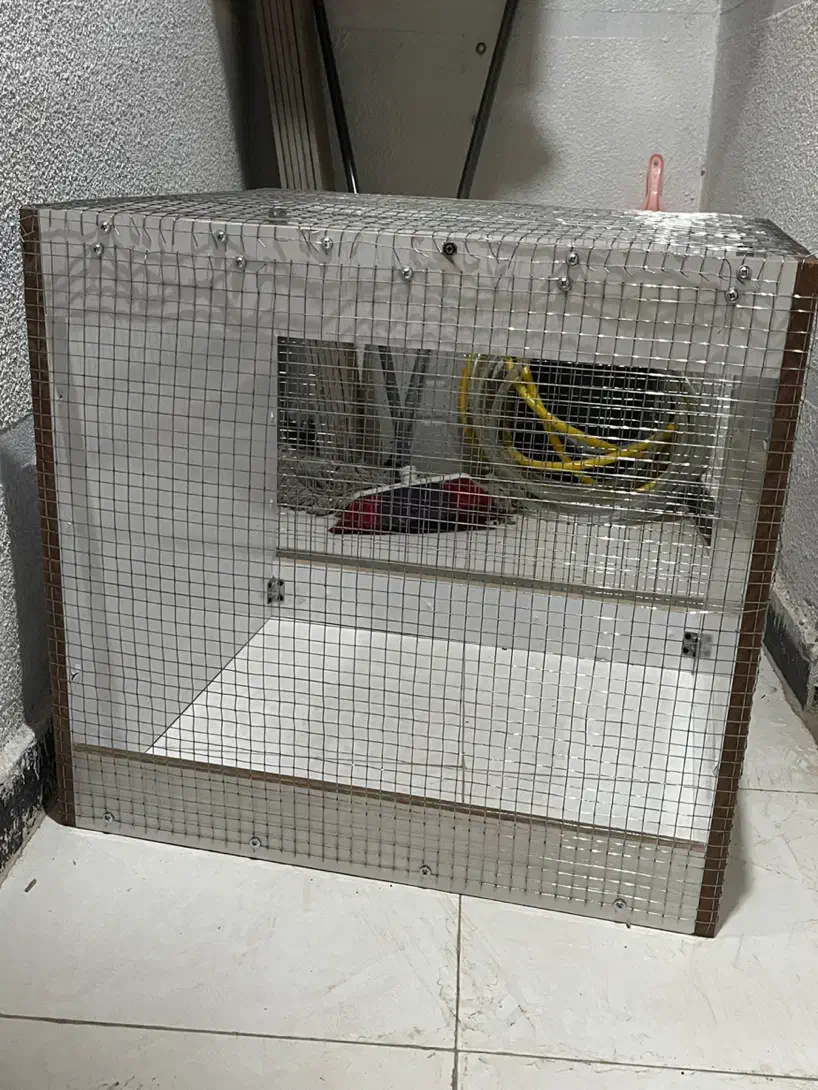 قفس مرغ یا پرنده|لوازم جانبی حیوانات|دوگنبدان, |دیوار