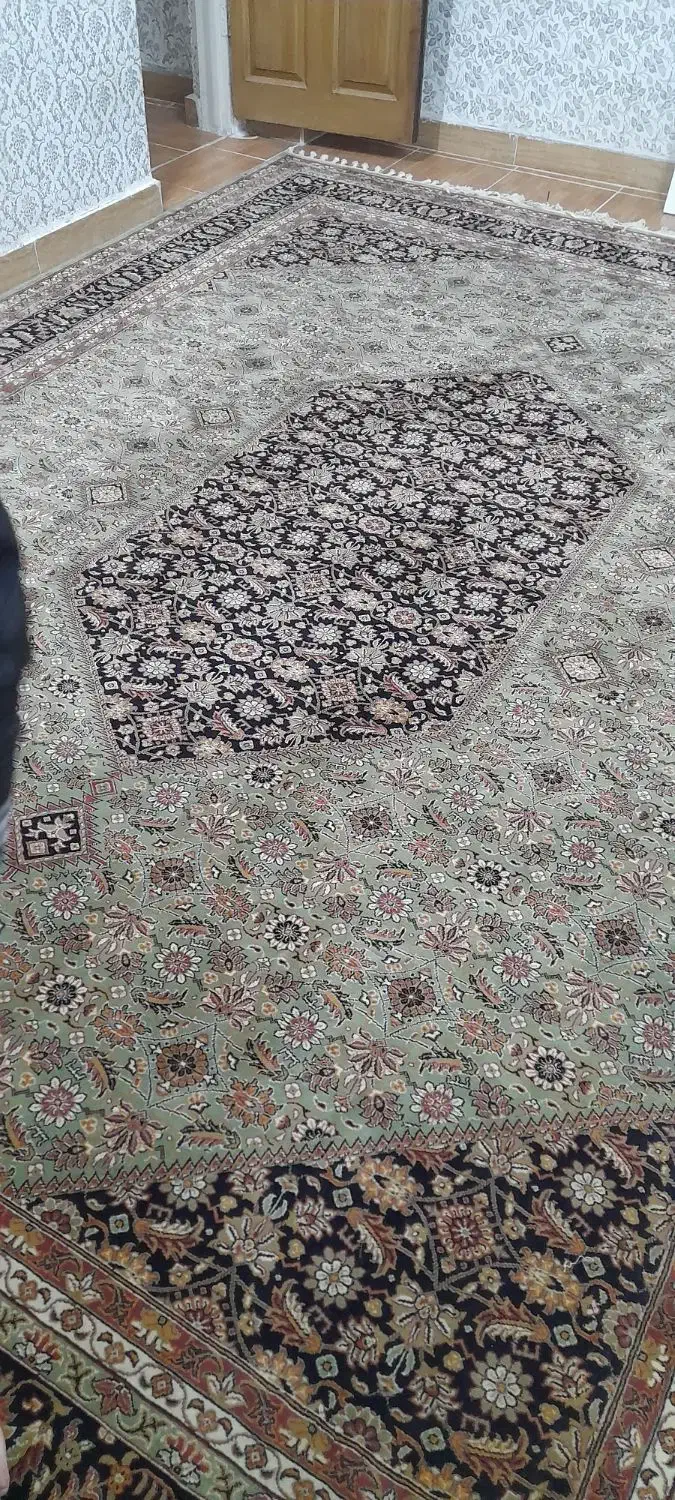 فرش ۱۲ متری سالم و تازه|فرش|رشت, تازه آباد|دیوار