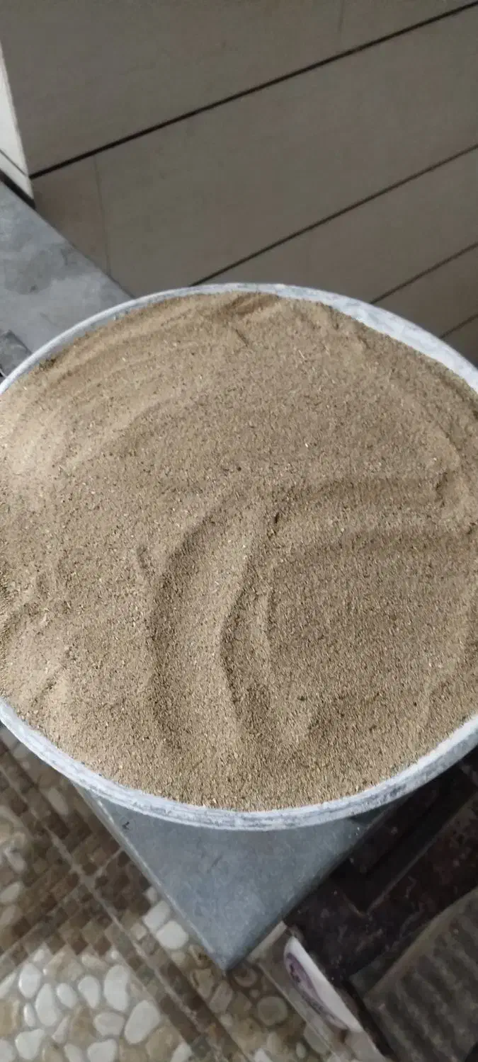 بزر درجه یک|خدمات باغبانی و درختکاری|کوهدشت, |دیوار