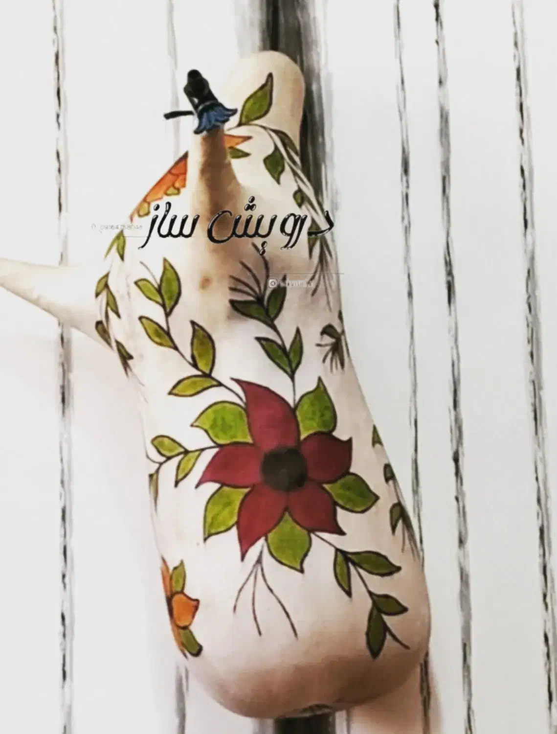 جفتی بوشهری|سازهای بادی|شیراز, عفیفآباد|دیوار