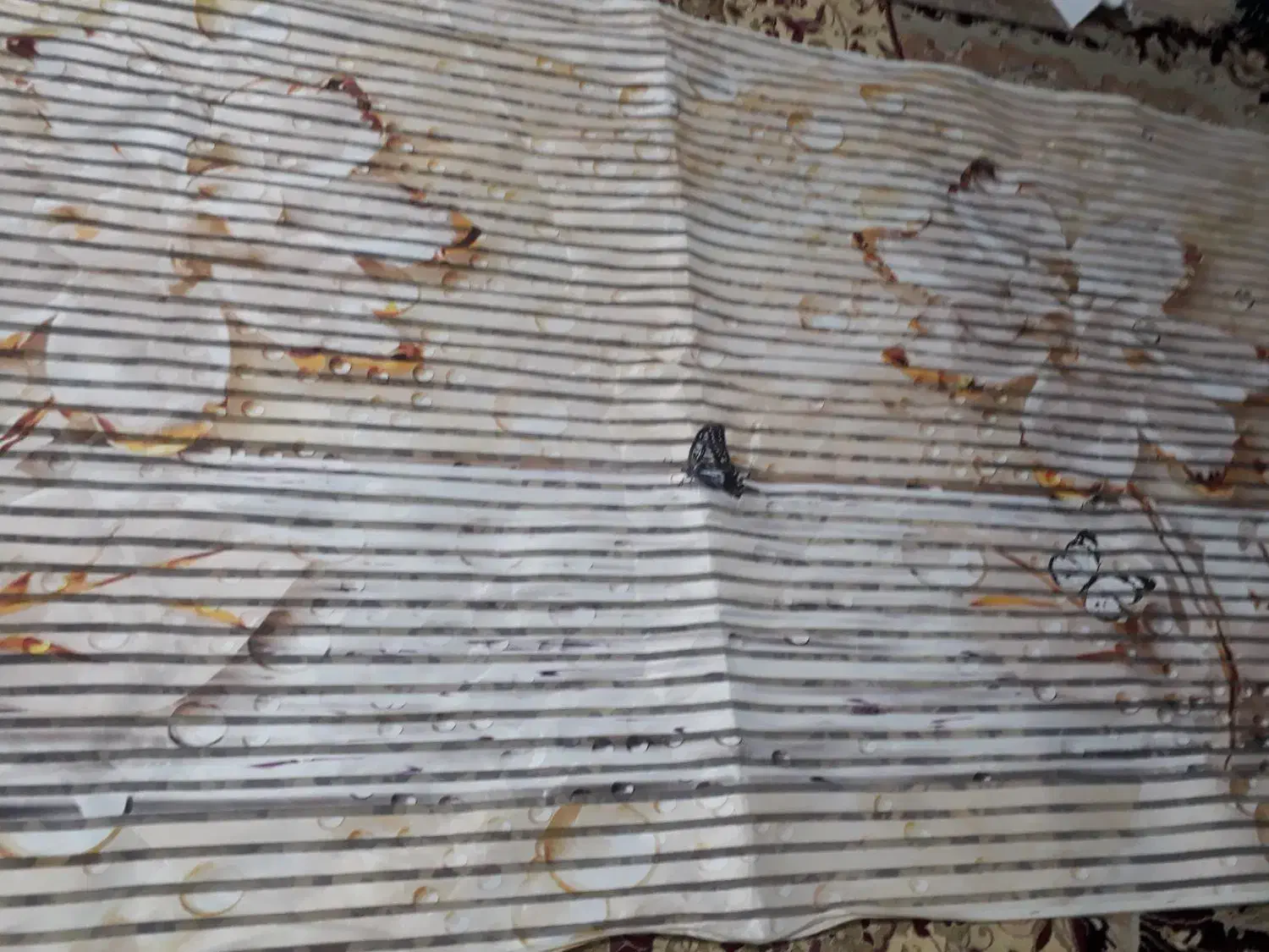 پرده زبراعرض۲/۵۵طول۱/۳۰مبل میزبان بارویه فرش ۶متری|پرده، رانر، رومیزی|قرچک, پویینک|دیوار