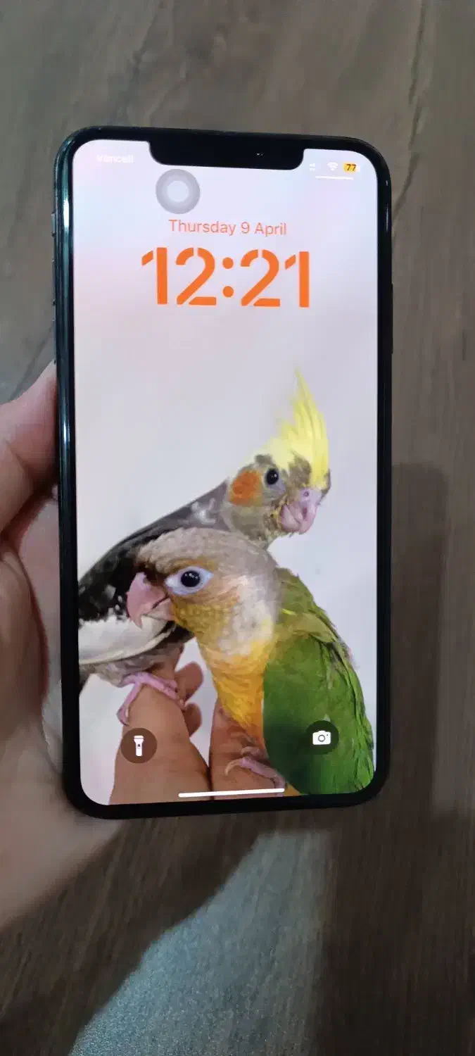 Xs max 256|موبایل|فردیس, قریشی|دیوار