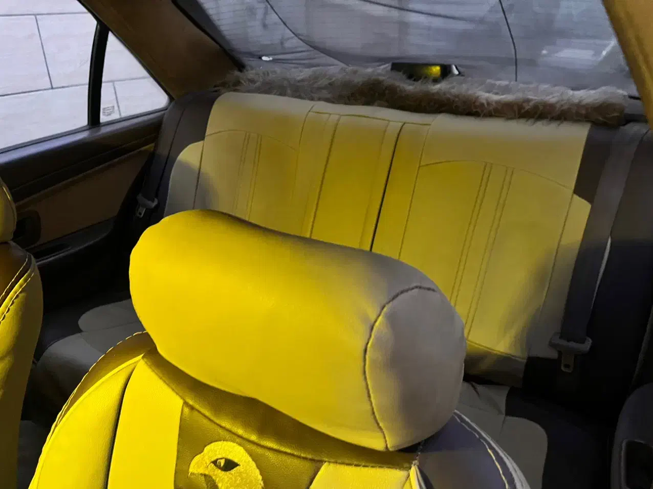 فروش فوری|خودرو سواری و وانت|مشهد, بهمن|دیوار