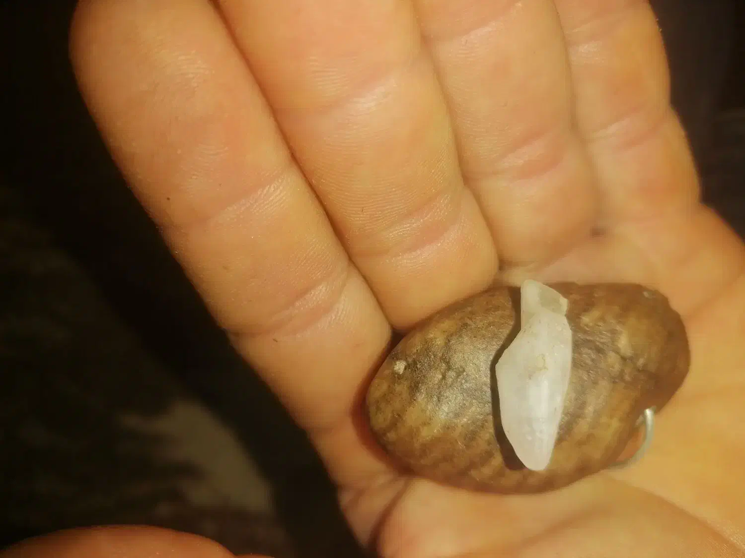 سلام سنگ قدیمی|کلکسیون اشیاء عتیقه|تیکمه داش, |دیوار