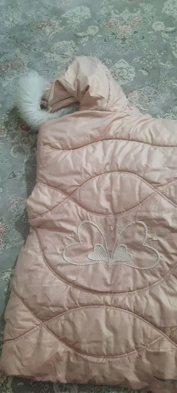 کاپشن دخترونه قیمت عالی|کفش و لباس بچه|اسفراین, |دیوار