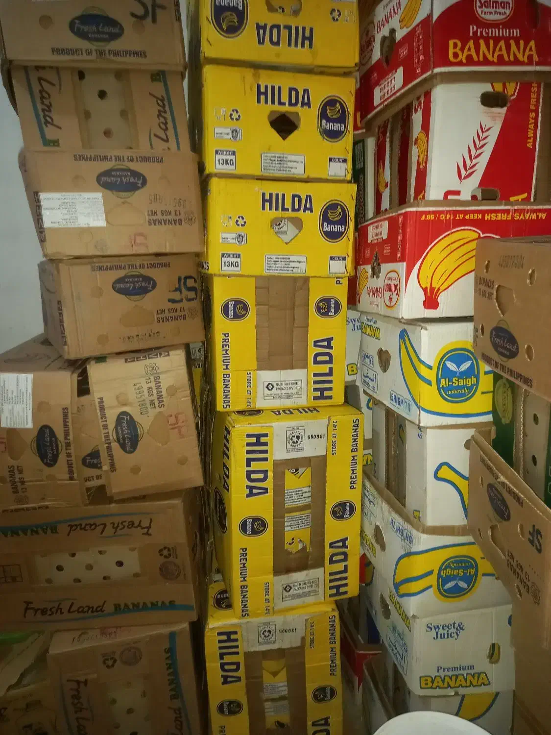 فروش  کارتن موزی|حراج|ساوه, |دیوار