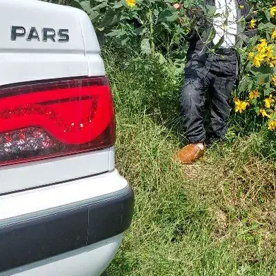 مسافر از زابل به زاهدان|خدمات حمل و نقل|هیرمند, |دیوار