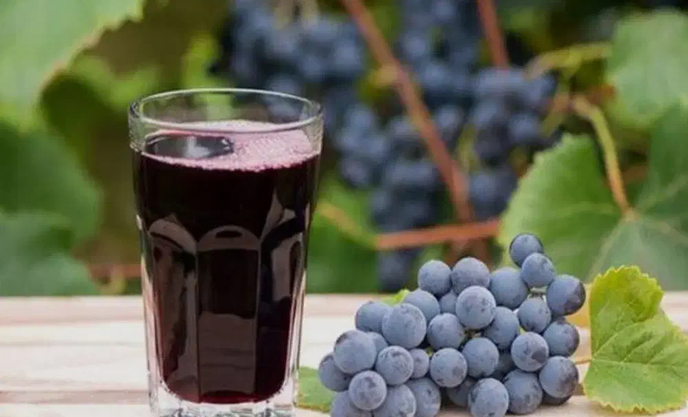 اب انگور سیاه طبیعی|خوردنی و آشامیدنی|رشت, استادسرا|دیوار