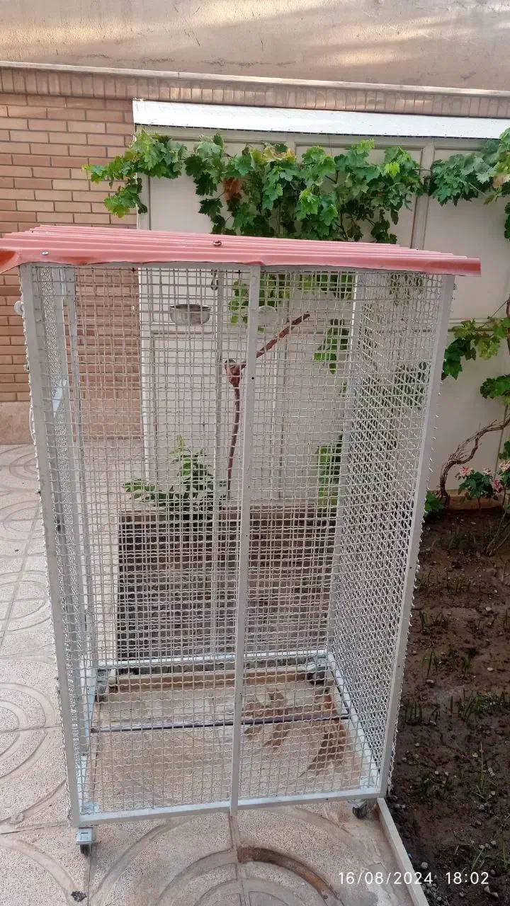 قفس آهنی|لوازم جانبی حیوانات|شاهینشهر, فردوسی|دیوار