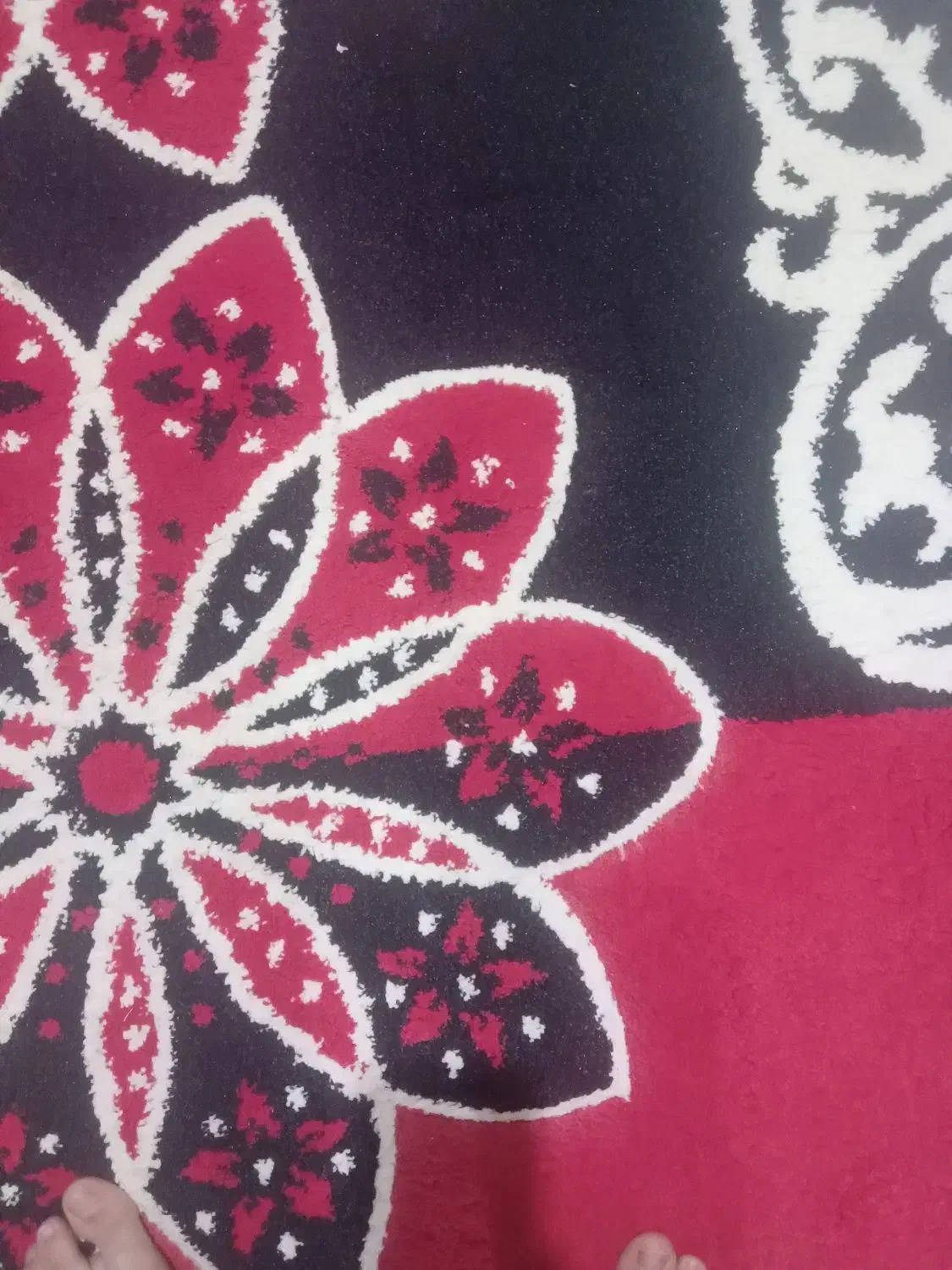 فرش اشپزخانه|فرش|قزوین, |دیوار