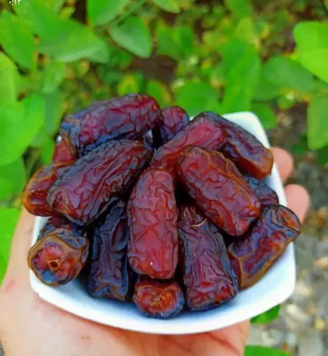 خرمای پیارم امسالی|خوردنی و آشامیدنی|شاهین‌شهر, شهرک ردانی پور|دیوار