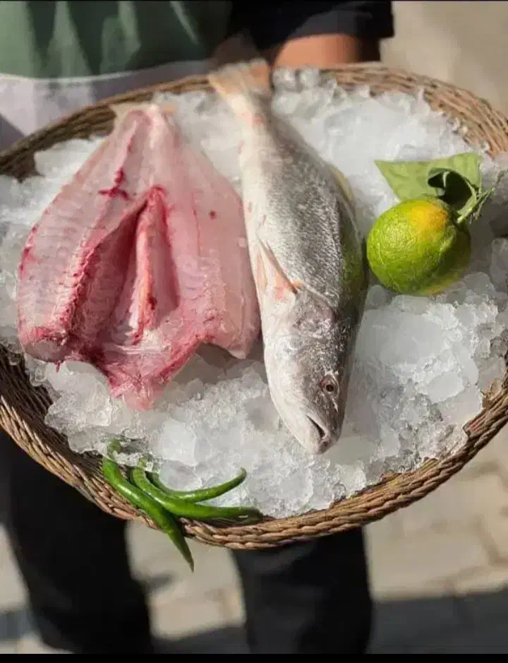 ماهی میگو دریایی|ماهی|تهران, تهرانپارس جنوبی|دیوار